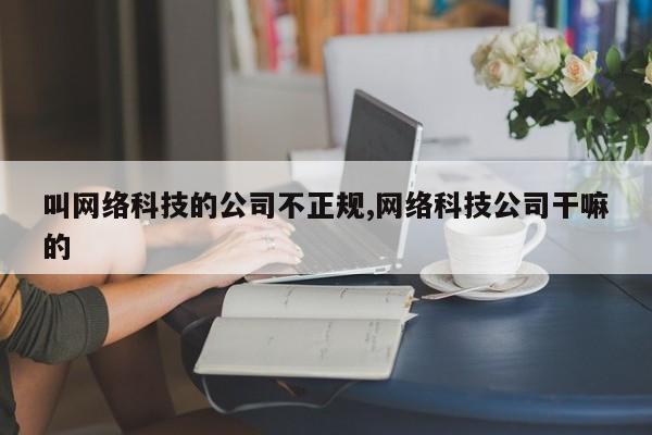 叫网络科技的公司不正规,网络科技公司干嘛的