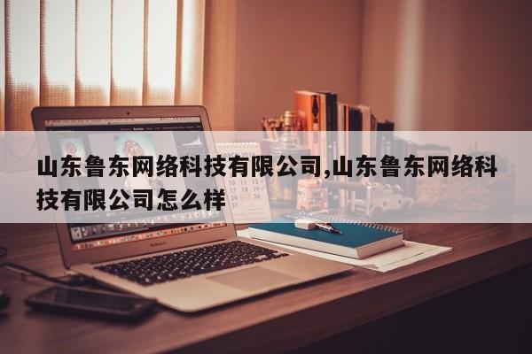 山东鲁东网络科技有限公司,山东鲁东网络科技有限公司怎么样