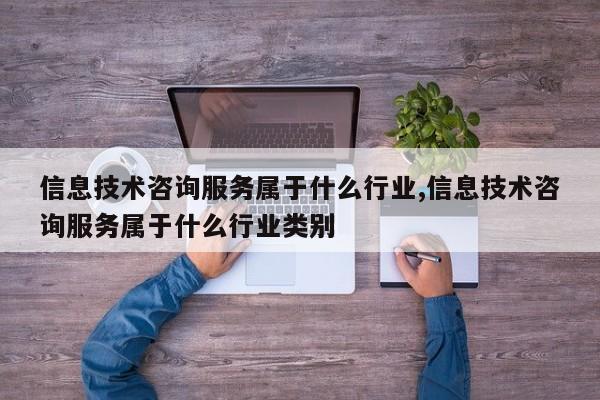 信息技术咨询服务属于什么行业,信息技术咨询服务属于什么行业类别