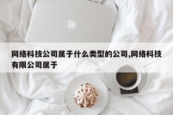 网络科技公司属于什么类型的公司,网络科技有限公司属于