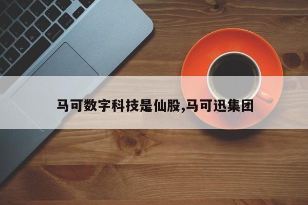 马可数字科技是仙股,马可迅集团