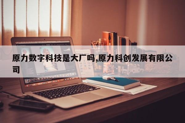 原力数字科技是大厂吗,原力科创发展有限公司