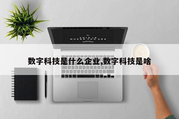数字科技是什么企业,数字科技是啥