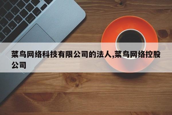 菜鸟网络科技有限公司的法人,菜鸟网络控股公司