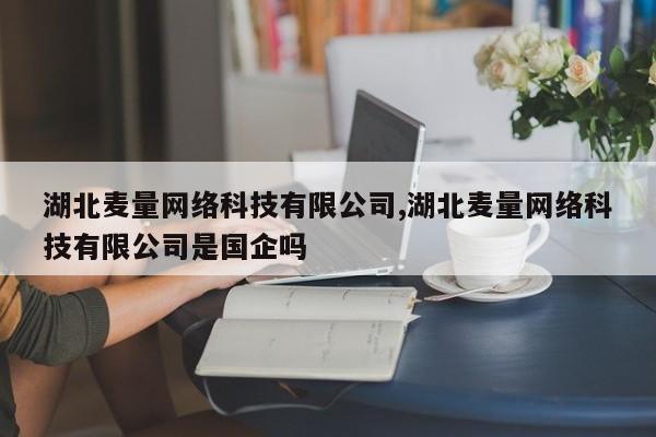 湖北麦量网络科技有限公司,湖北麦量网络科技有限公司是国企吗