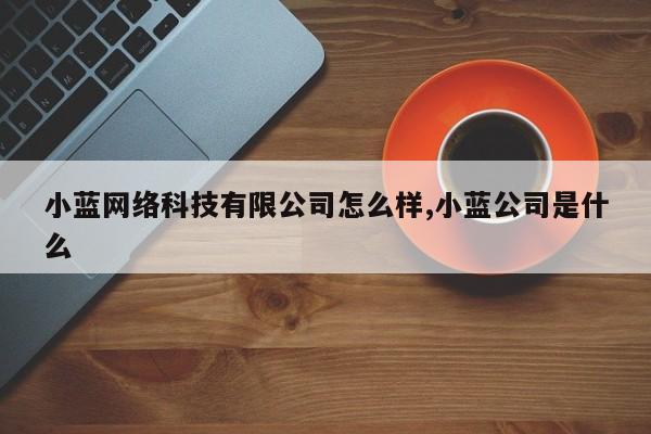 小蓝网络科技有限公司怎么样,小蓝公司是什么