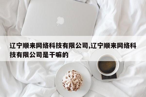 辽宁顺来网络科技有限公司,辽宁顺来网络科技有限公司是干嘛的